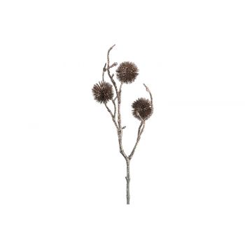 Cosy @ Home Branch Echinops Bronze 10x5xh33cm Synthe