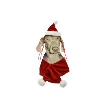 Cosy @ Home Xmas Pet Suit For Dog Hat+scarf
